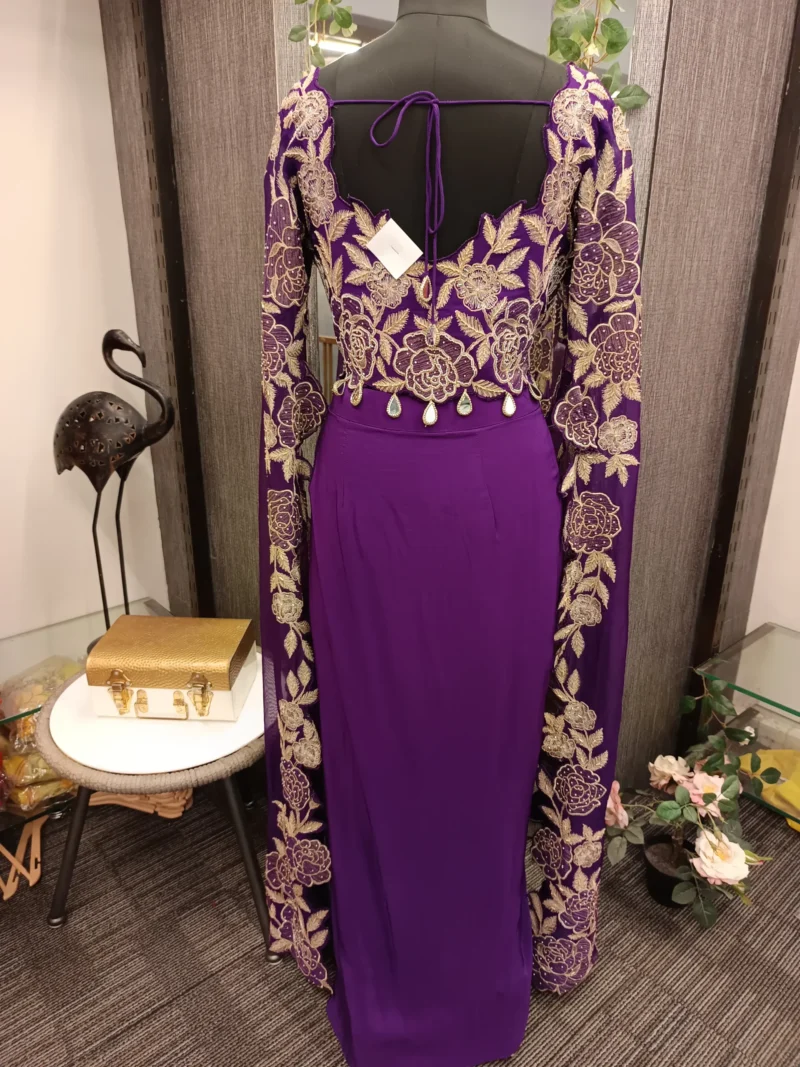 Unique Indo Western Dress with Skirt - Image 3